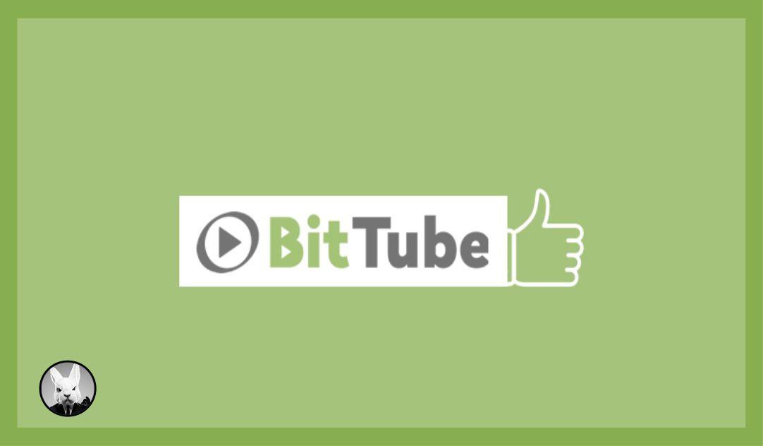 bitTube - отзывы, заработок на платформе
