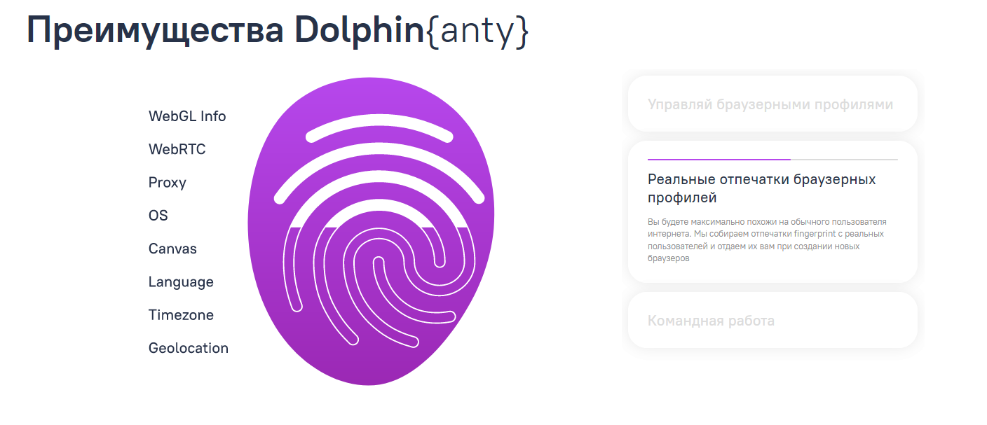 Dolphin{anty}: обзор антидетект-браузера